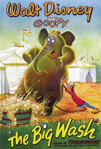 Movie poster for The Big Wash (1948)