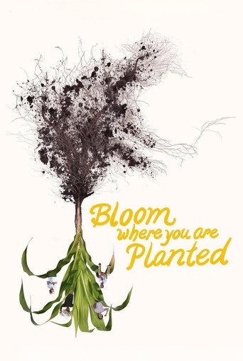 Movie poster for Bloom Where You Are Planted (2025)