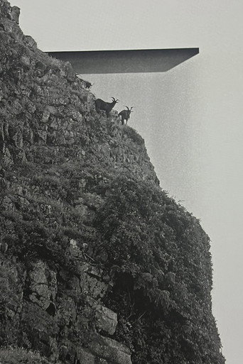 Movie poster for Orchid Island (2023)