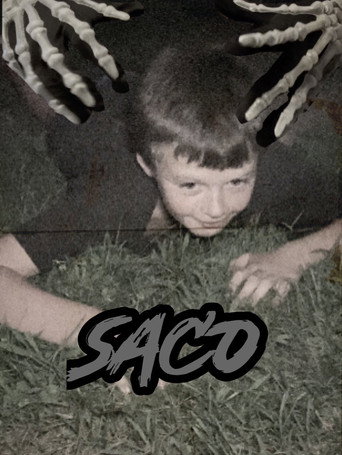 Movie poster for Saco