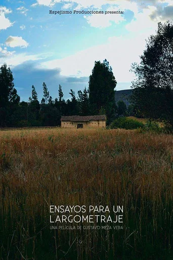 Movie poster for Ensayos para un largometraje (2015)
