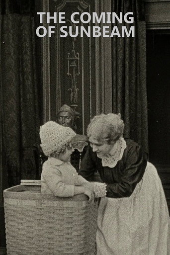 Movie poster for The Coming of Sunbeam (1913)