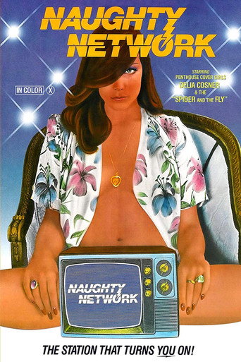 Movie poster for Naughty Network (1981)