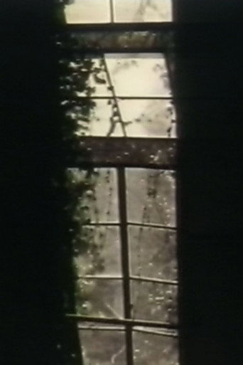 Movie poster for See Through The Shadow Of Darkness (1996)