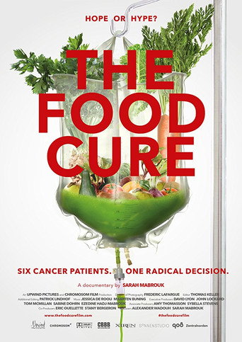 Movie poster for The Food Cure: Hope or Hype? (2018)