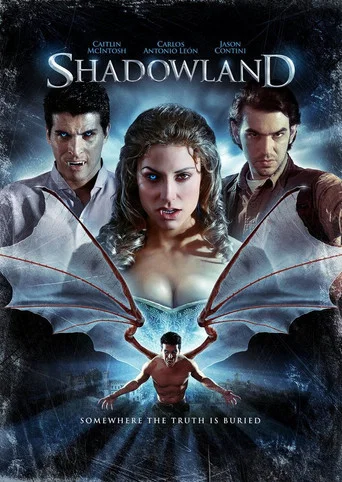 Movie poster for Shadowland (2010)