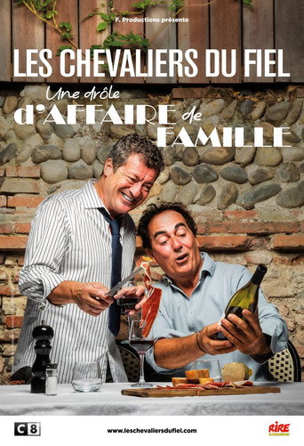 Movie poster for Les Chevaliers du fiel : Une drôle d'affaire de famille (2023)