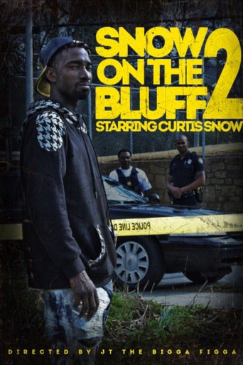 Movie poster for Snow On Tha Bluff 2