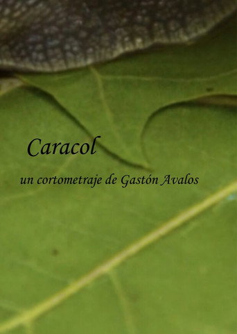 Movie poster for Caracol (2023)