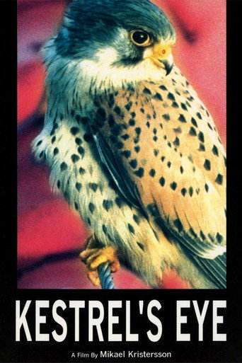 Movie poster for Kestrel's Eye (1998)