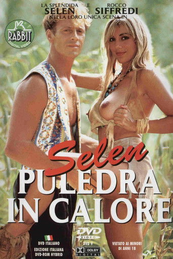 Selen the Perfect Lover poster