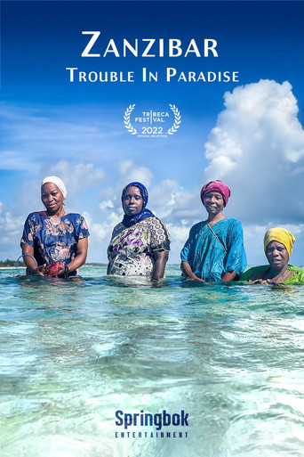 Movie poster for Zanzibar: Trouble in Paradise (2022)
