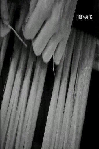 Movie poster for Le capiage (1949)