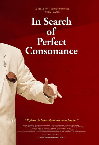 Movie poster for In Search of Perfect Consonance (2016)