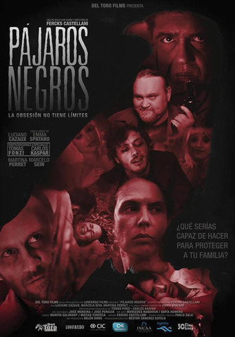 Pájaros negros poster