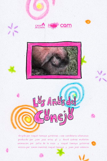 Movie poster for The Years of the rabbit (2025)