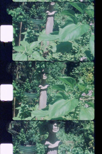Movie poster for Silent Garden (2021)