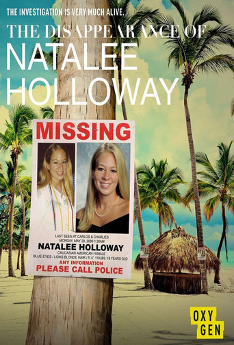 Series poster for The Disappearance of Natalee Holloway (2017)