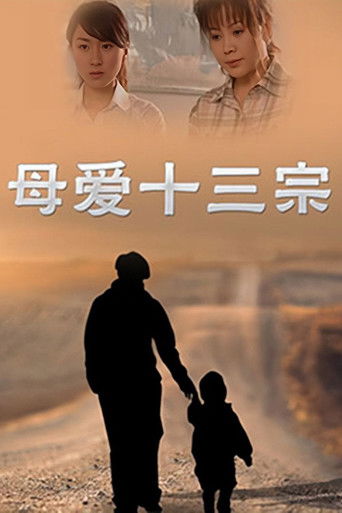 母爱十三宗 poster