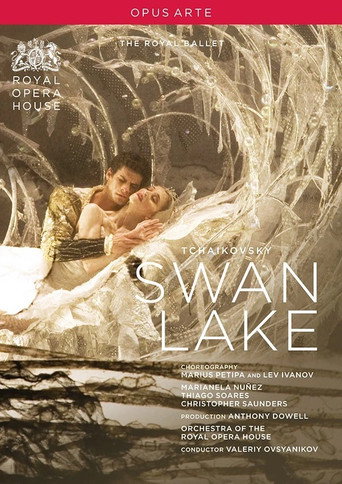Movie poster for Swan Lake (2009)