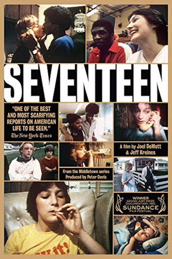 Movie poster for Seventeen (1983)