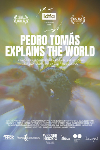 Movie poster for Pedro Tomás Explains The World (2025)