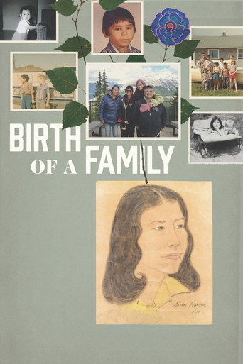 Movie poster for Birth of a Family (2017)