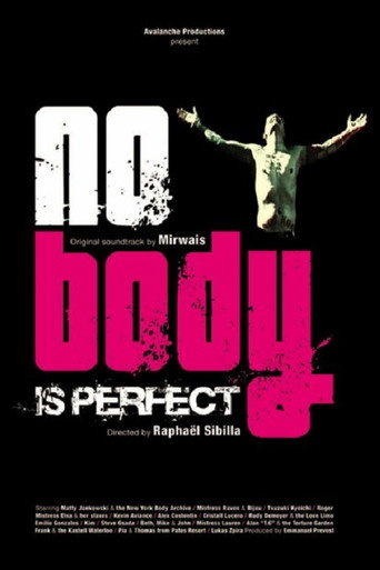 Movie poster for No Body Is Perfect (2006)