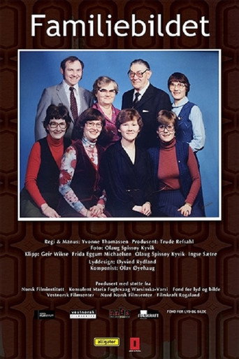 Movie poster for Familiebildet (2013)
