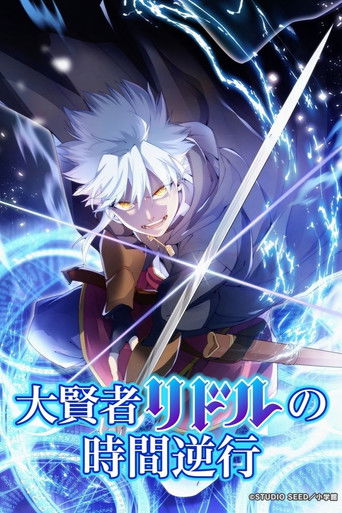 The Regression of Great Sage Riddle poster