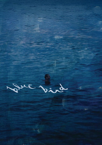 Blue Bird poster