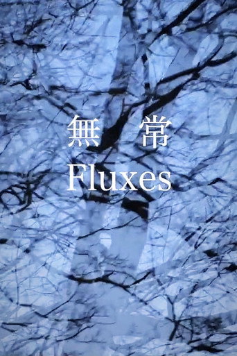 Movie poster for FLUXES