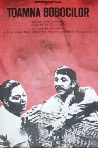 Movie poster for Autumn of the Goslings (1975)