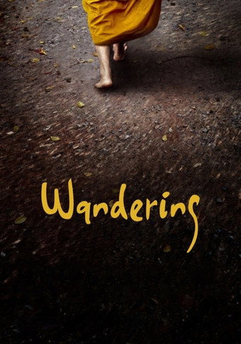 Movie poster for Wandering (2016)