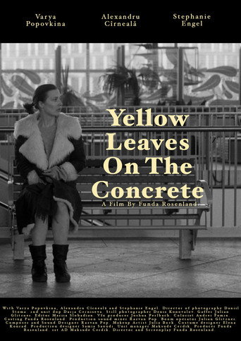 Movie poster for Yellow leaves on the concrete (2025)