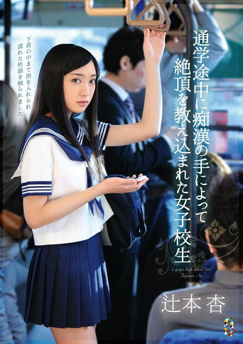 Movie poster for A Schoolgirl Is Taught A Lesson in Ecstasy By The Hands Of A Molester While On Her Way To School Starring Ann Tsujimoto (2015)