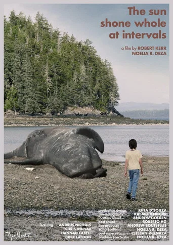 The Sun Shone Whole at Intervals poster