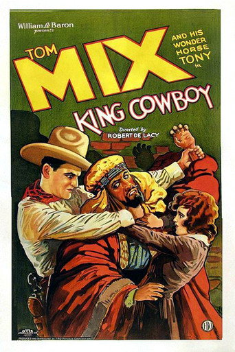 Movie poster for King Cowboy (1928)