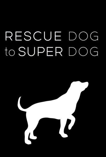 Rescue Dog to Super Dog poster