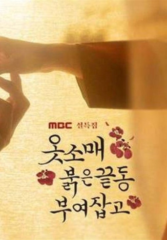 The Red Sleeve Talk Show poster