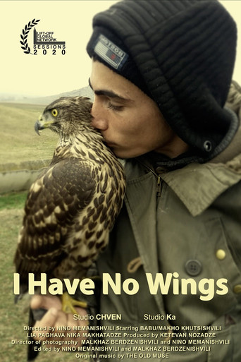 Movie poster for I Have No Wings (2020)
