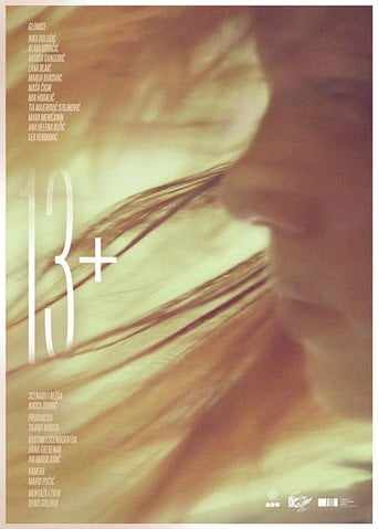 Movie poster for 13+ (2016)