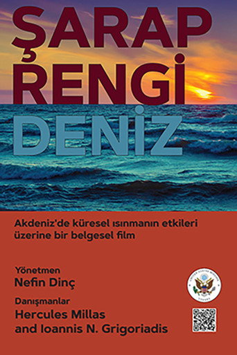 Movie poster for Wine Dark Sea (2024)