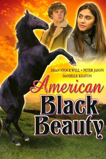 American Black Beauty poster