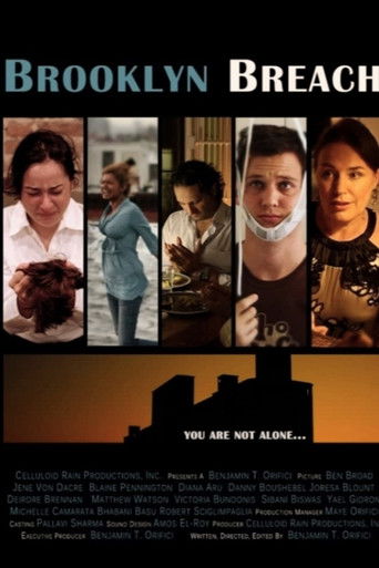 Brooklyn Breach poster