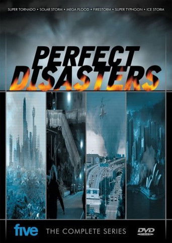 Perfect Disaster poster