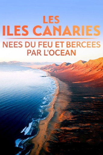 Movie poster for Les Îles Canaries, nées du feu et bercées par l'océan (2023)