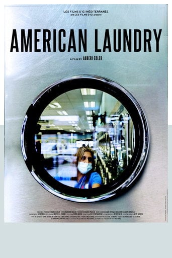 Movie poster for American Laundry (2022)