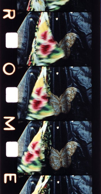 Movie poster for Malik (1977)