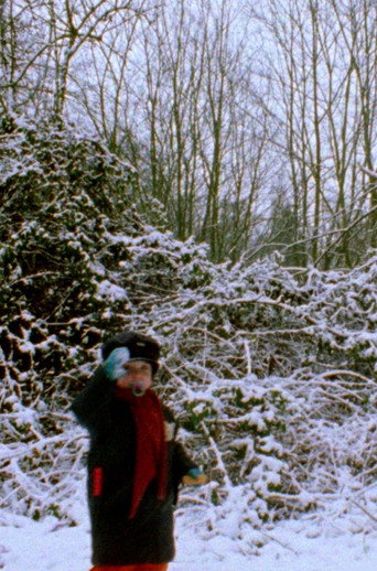 Movie poster for Snowflakes (2022)